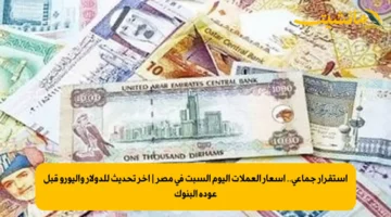 استقرار جماعي.. أسعار العملات اليوم السبت في مصر | آخر تحديث للدولار واليورو قبل عودة البنوك